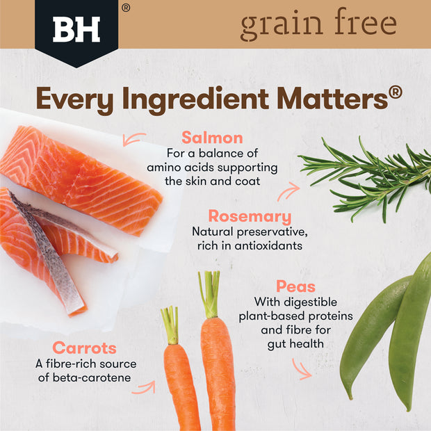 Grain Free Dry Food Adult Salmon