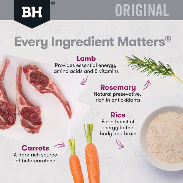 Dry Food Adult Lamb And Rice