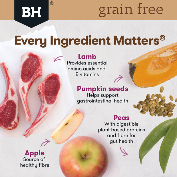 Grain Free Dry Food Adult Lamb