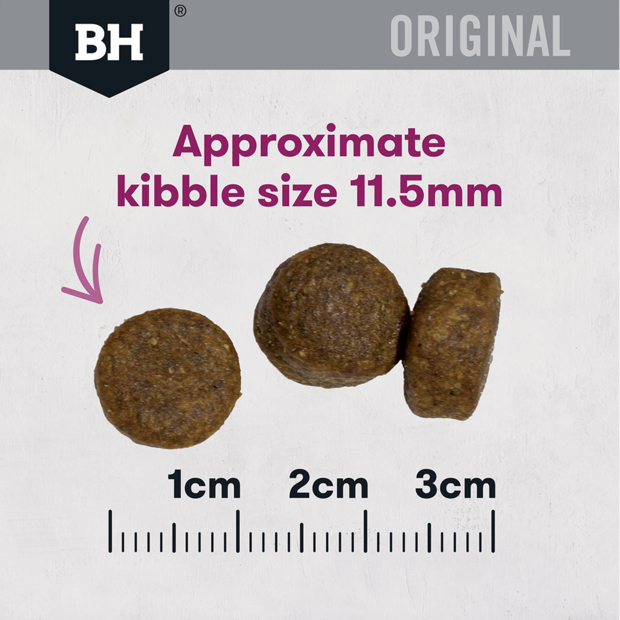 Dry Food Adult Lamb And Rice