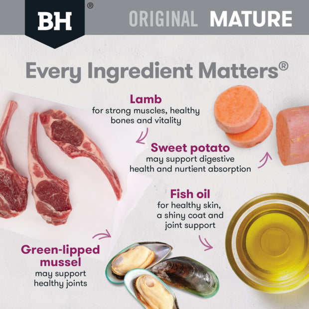 Original Mature Lamb And Rice Dry Food