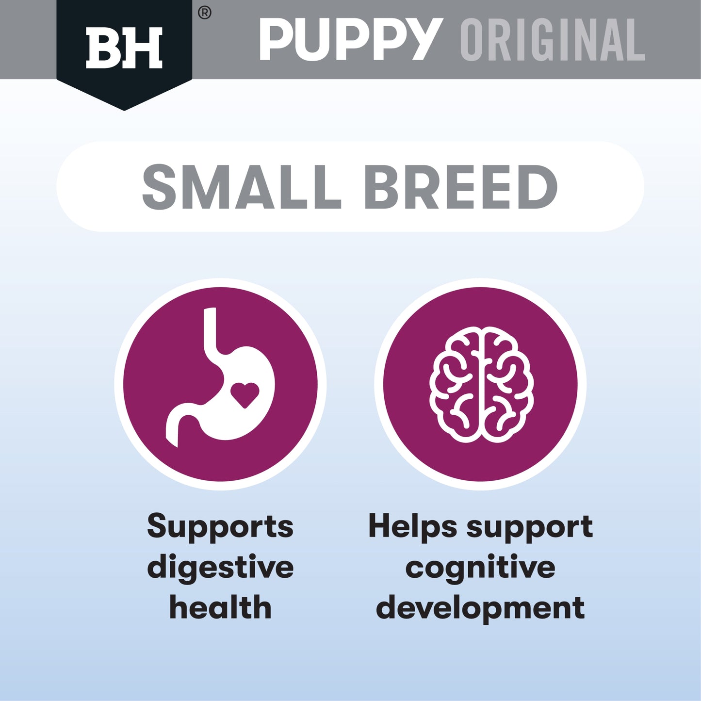 Lamb & Rice Dry Dog Food – Small Breed Puppy