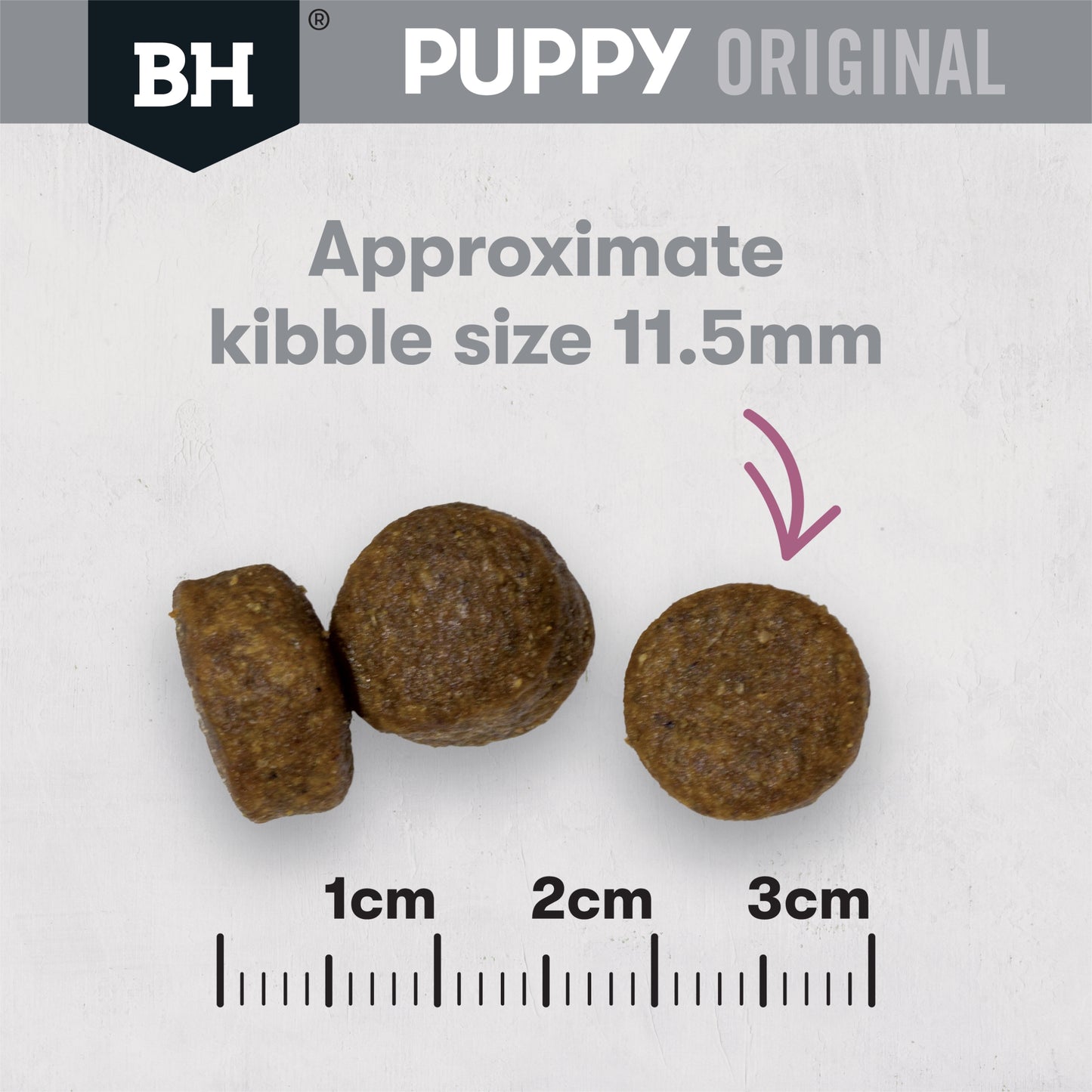 Lamb & Rice Dry Dog Food – Large Breed Puppy