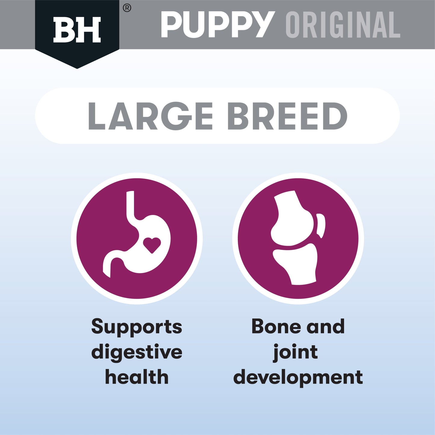 Lamb & Rice Dry Dog Food – Large Breed Puppy