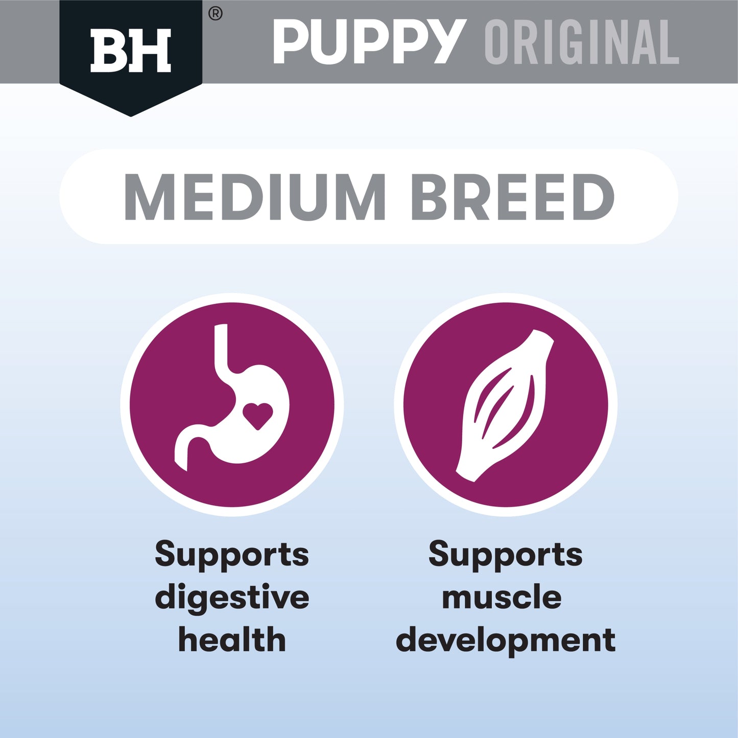 Lamb & Rice Dry Dog Food – Medium Breed Puppy