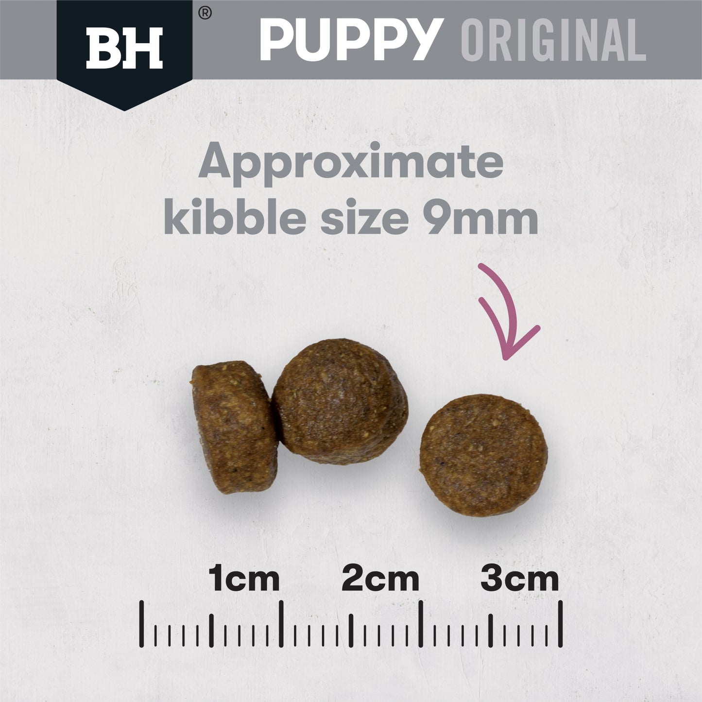 Lamb & Rice Dry Dog Food – Medium Breed Puppy