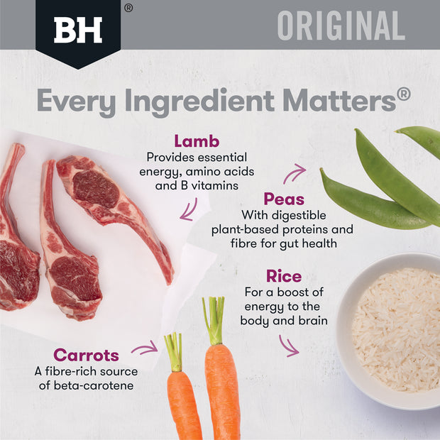 Lamb & Rice Dry Dog Food – Small Breed Adult