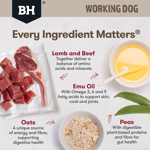 Lamb & Beef Dry Dog Food – Adult Working Dog