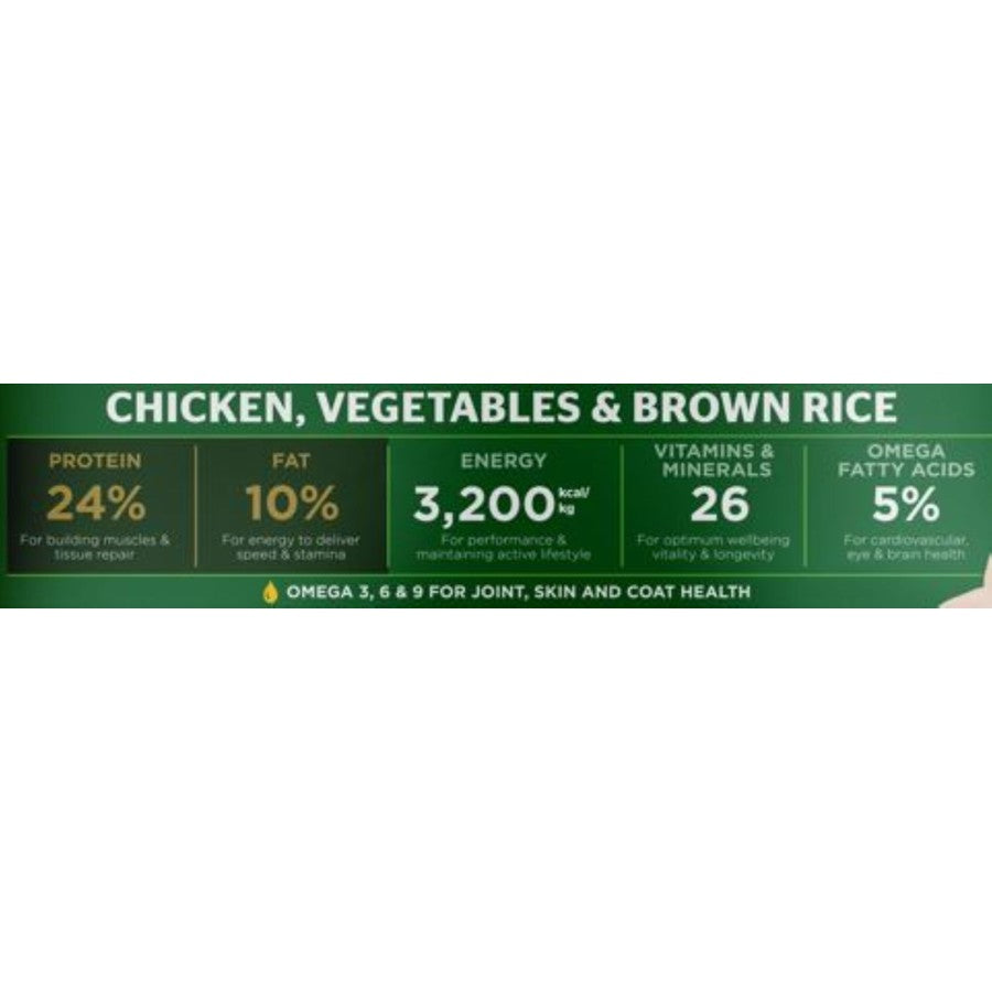 Family Dog Adult Chicken Dog Food