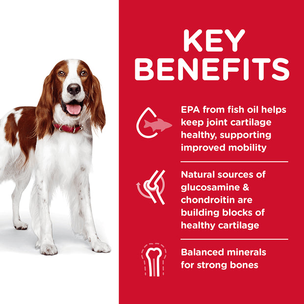 Adult Healthy Mobility Dry Food