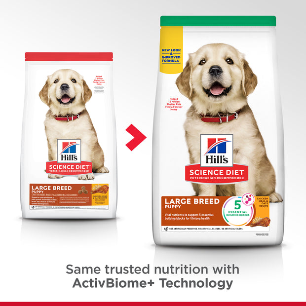 Chicken Dry Dog Food – Large Breed Puppy