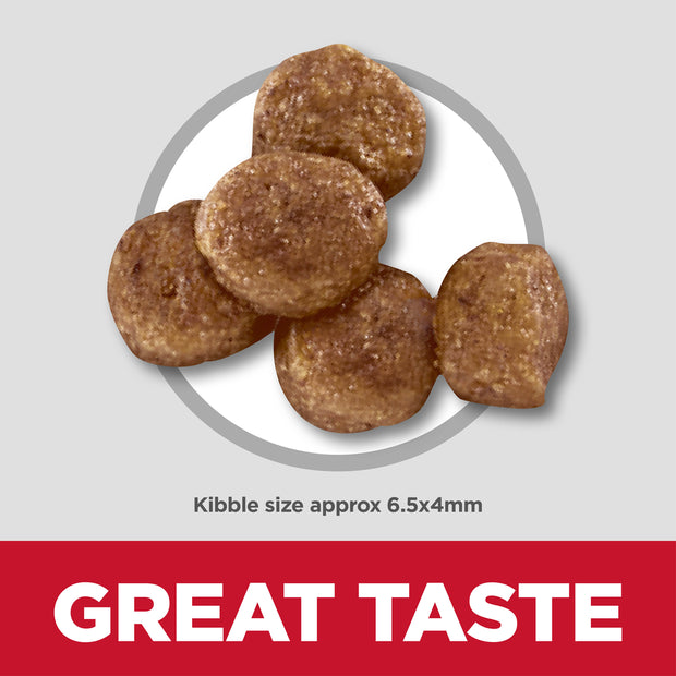 Chicken Dry Dog Food – Small Bites Puppy