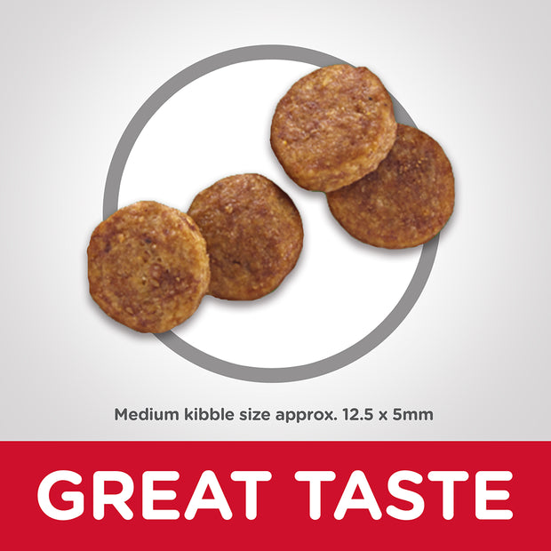 Senior 7 Plus Youthful Vitality Dry Food