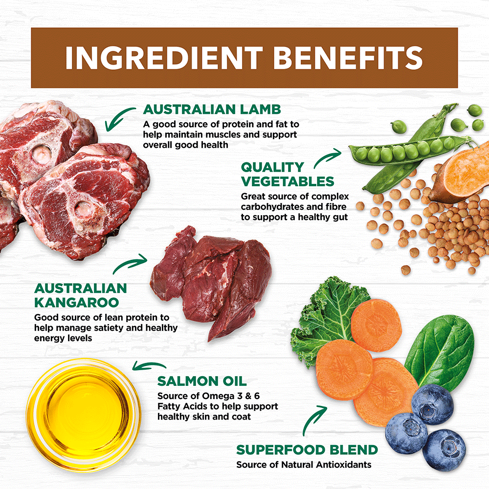 Grain Free Adult Dry Food Lamb And Kangaroo