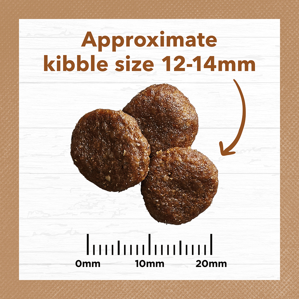 Grain Free Adult Dry Food Lamb And Kangaroo