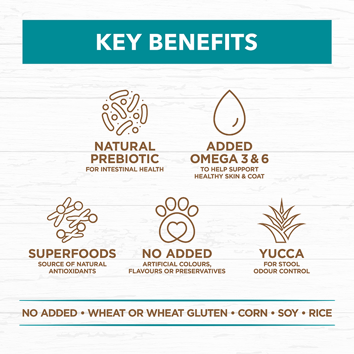 Grain Free Adult Dry Food Salmon and Ocean Fish