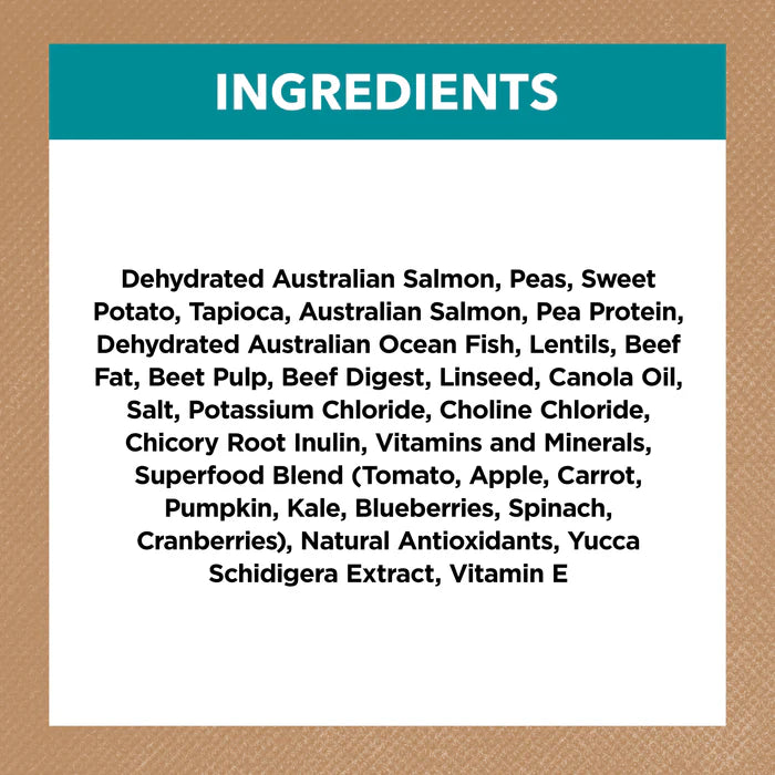 Grain Free Adult Dry Food Salmon and Ocean Fish