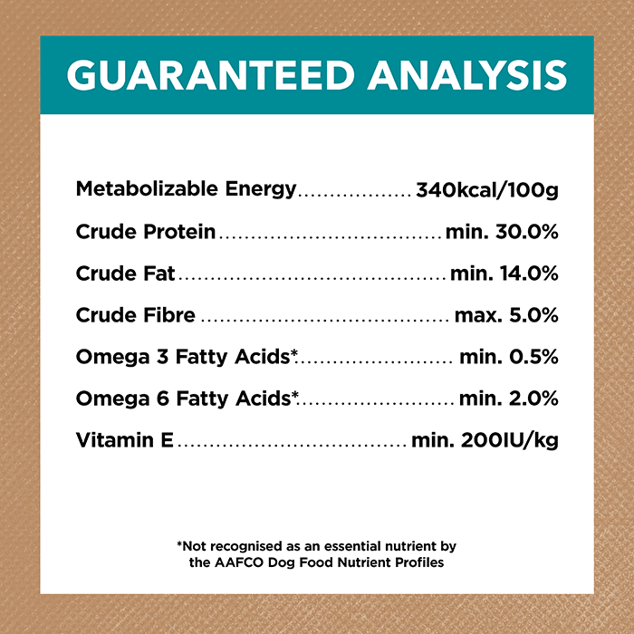 Grain Free Adult Dry Food Salmon and Ocean Fish