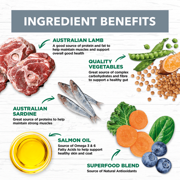 Grain Free Adult Dry Food Lamb and Sardine