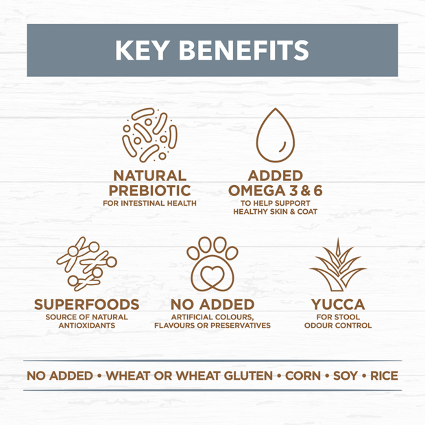 Grain Free Adult Dry Food Lamb and Sardine