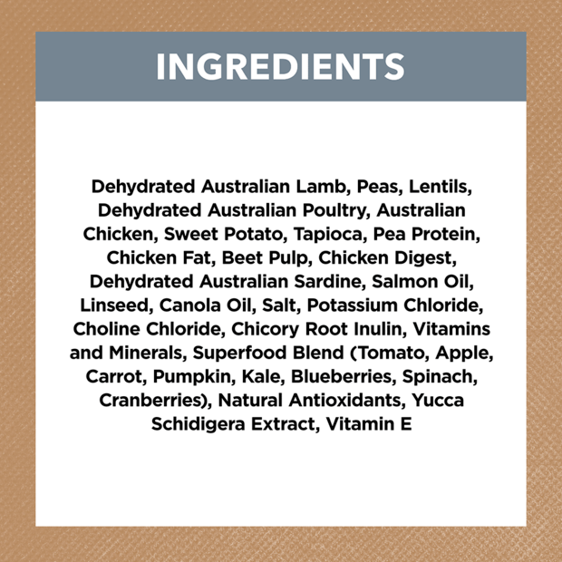 Grain Free Adult Dry Food Lamb and Sardine