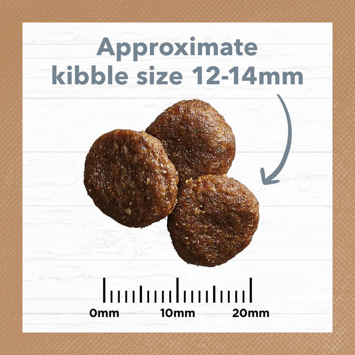 Grain Free Adult Dry Food Lamb and Sardine