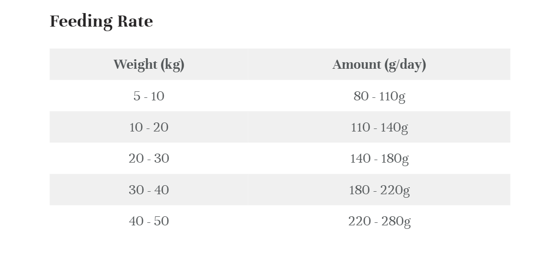 Kangaroo Adult Dry Food