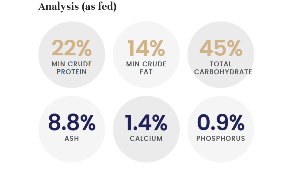 Kangaroo Adult Dry Food