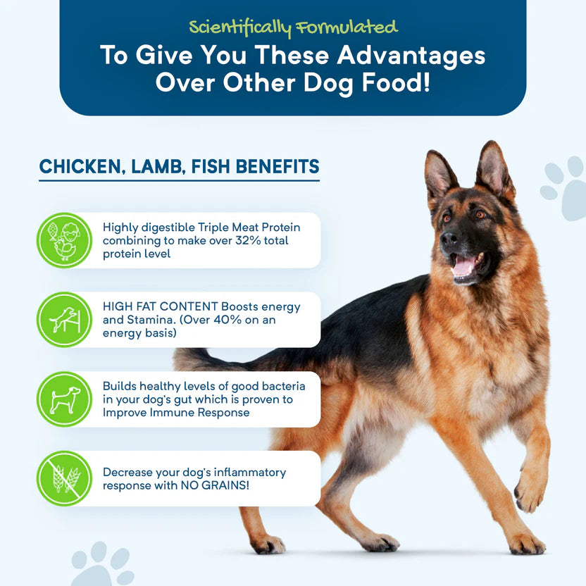 Grain Free Adult Dry Food Chicken, Lamb and Fish