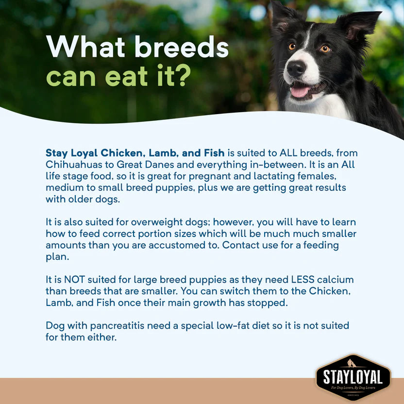 Grain Free Adult Dry Food Chicken, Lamb and Fish