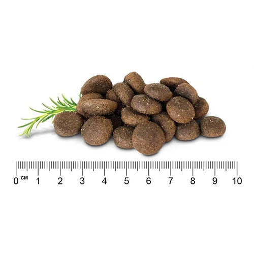 Grain Free Adult Dry Food Chicken, Lamb and Fish