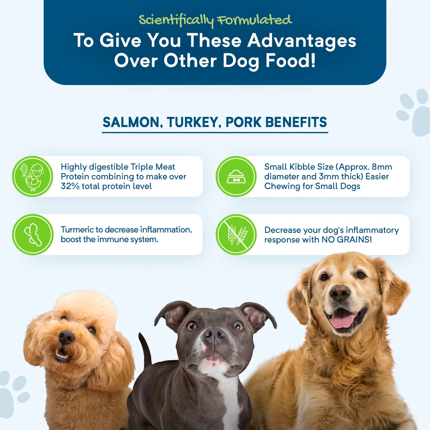 Grain Free Adult Dry Food Salmon, Turkey and Pork