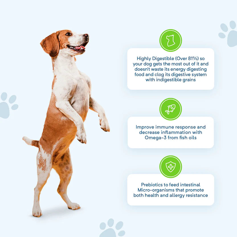 Grain Free Adult Dry Food Salmon, Turkey and Pork