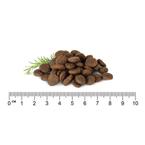 Grain Free Adult Dry Food Salmon, Turkey and Pork