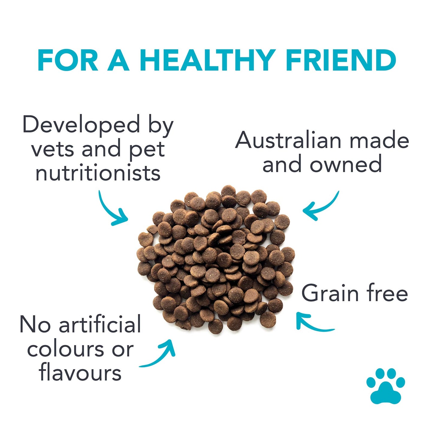 Grain Free Lamb Dry Puppy Food