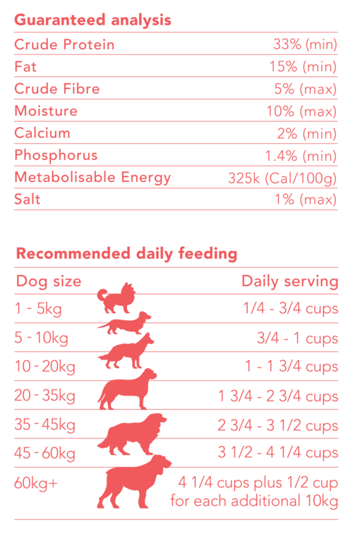 Ocean Fish with Sardines Grain Free Adult Dry Food
