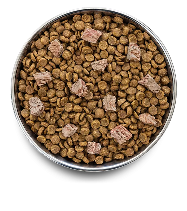 Lamb Grain Free Adult Dry Food