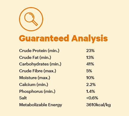 Essentials Beef Adult Dry Food