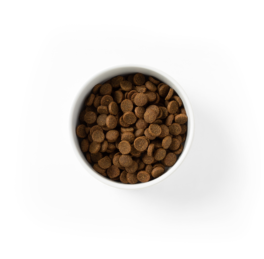 Essentials Chicken Adult Dry Food
