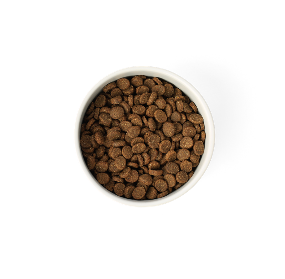 Essentials Ocean Fish Adult Dry Food