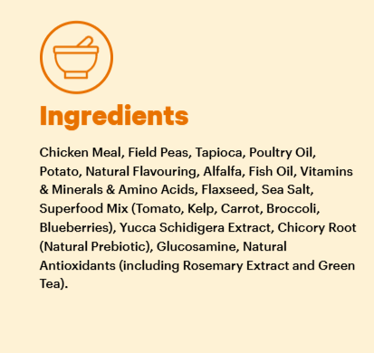 Grain Free Adult Dry Food Chicken