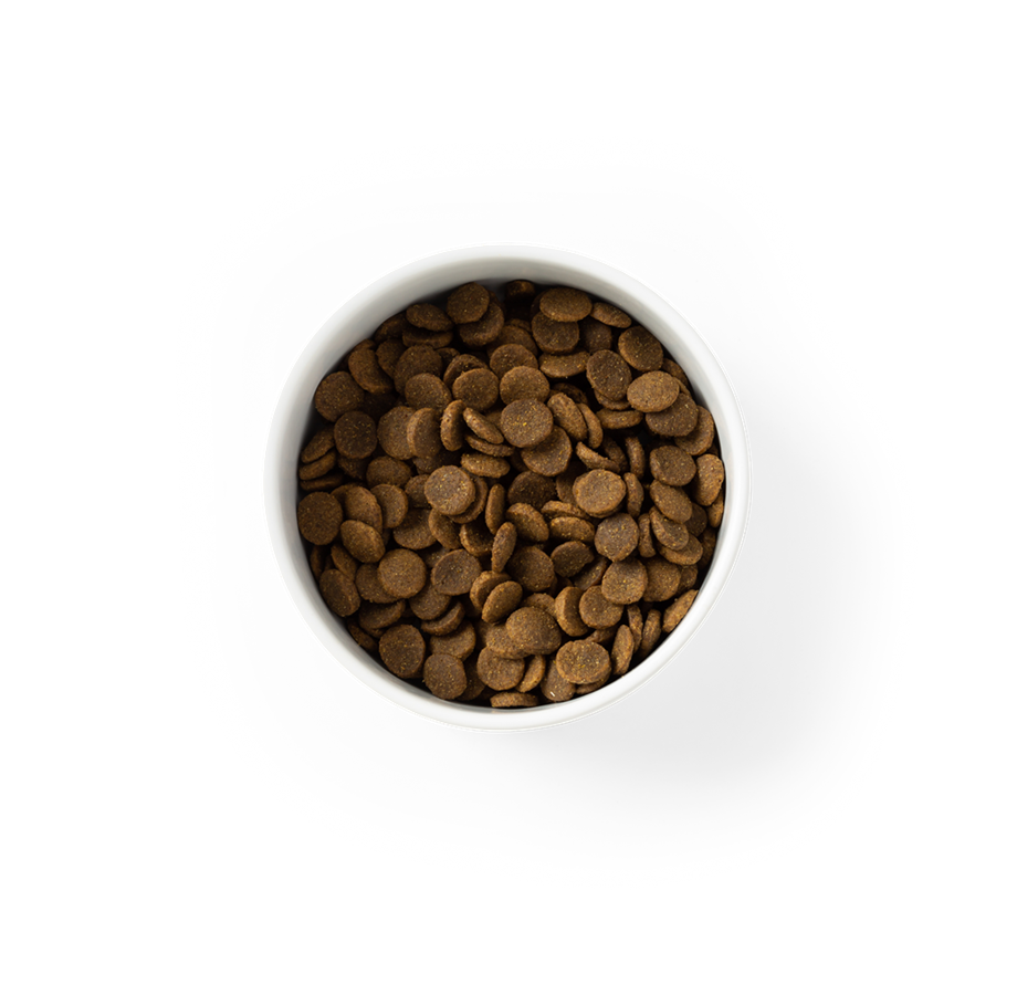 Grain Free Adult Dry Food Chicken