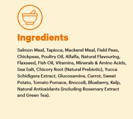 Grain Free Adult Dry Food Salmon