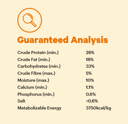 Grain Free Adult Dry Food Salmon