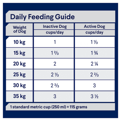 Sensitive Skin & Digestion Dry Dog Food – Adult Salmon & Rice