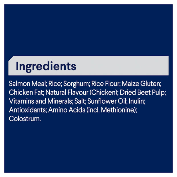 Sensitive Skin & Digestion Dry Dog Food – Adult Salmon & Rice