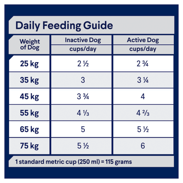 Turkey & Rice Dry Dog Food – Large Breed Adult