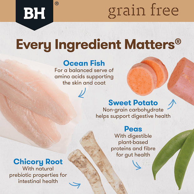 Grain Free Dry Puppy Food Ocean Fish