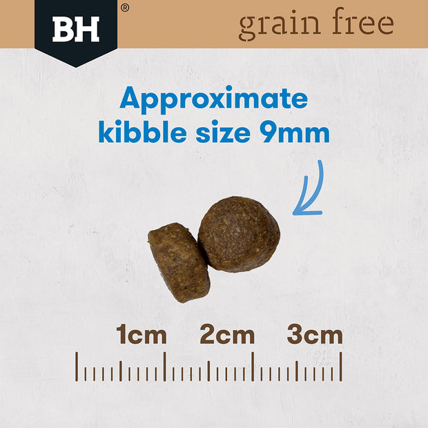 Grain Free Dry Puppy Food Ocean Fish