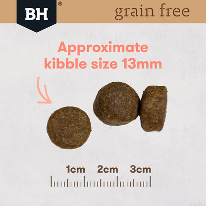 Grain Free Dry Food Adult Salmon